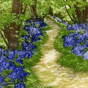 Still Path - Jan Dingle
