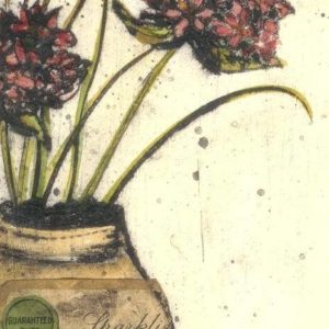 Alliums - Vicky Oldfield