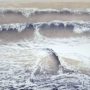 Merlyn Chesterman, October Waves