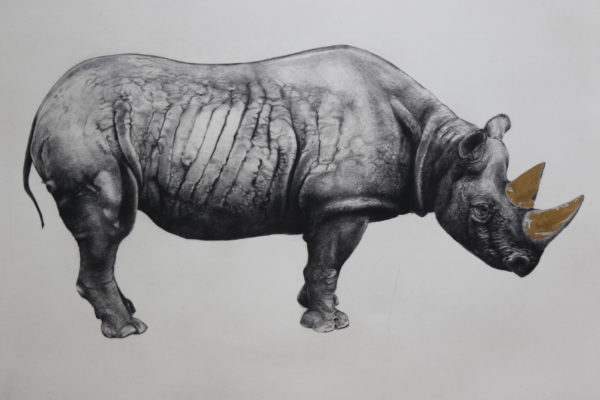 Rhinoceros (state II) - Tammy Mackay